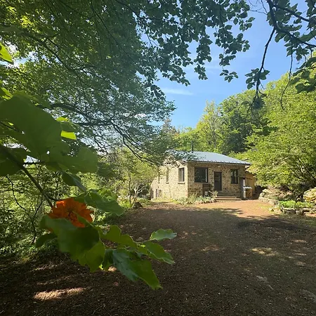 Le Refuge D'yzeron, Autonome En Pleine Foret Pour 8 Personnes * Yzeron