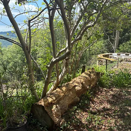 Le Refuge D'yzeron, Autonome En Pleine Foret Pour 8 Personnes Yzeron