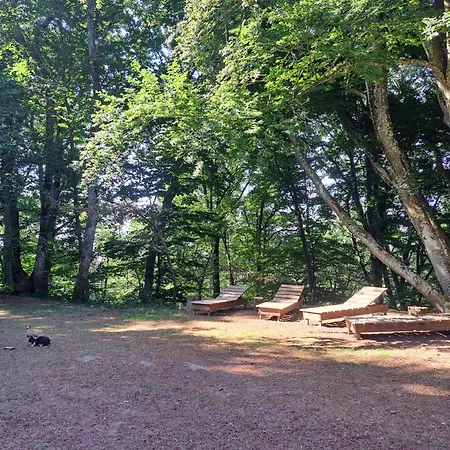 Le Refuge D'yzeron, Autonome En Pleine Foret Pour 8 Personnes * Yzeron